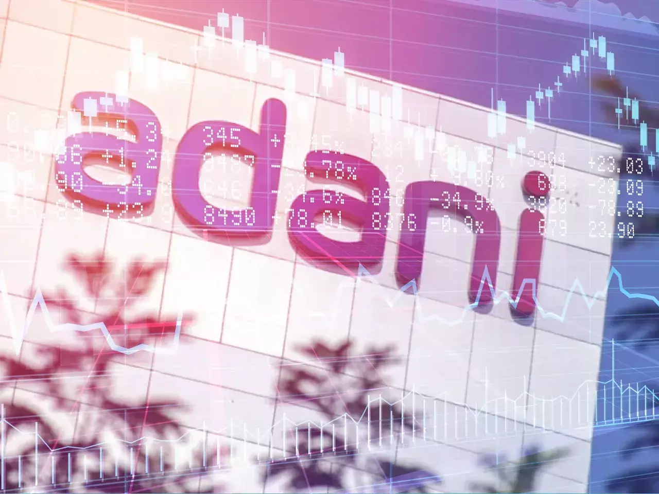 adani increased stake in two group companies