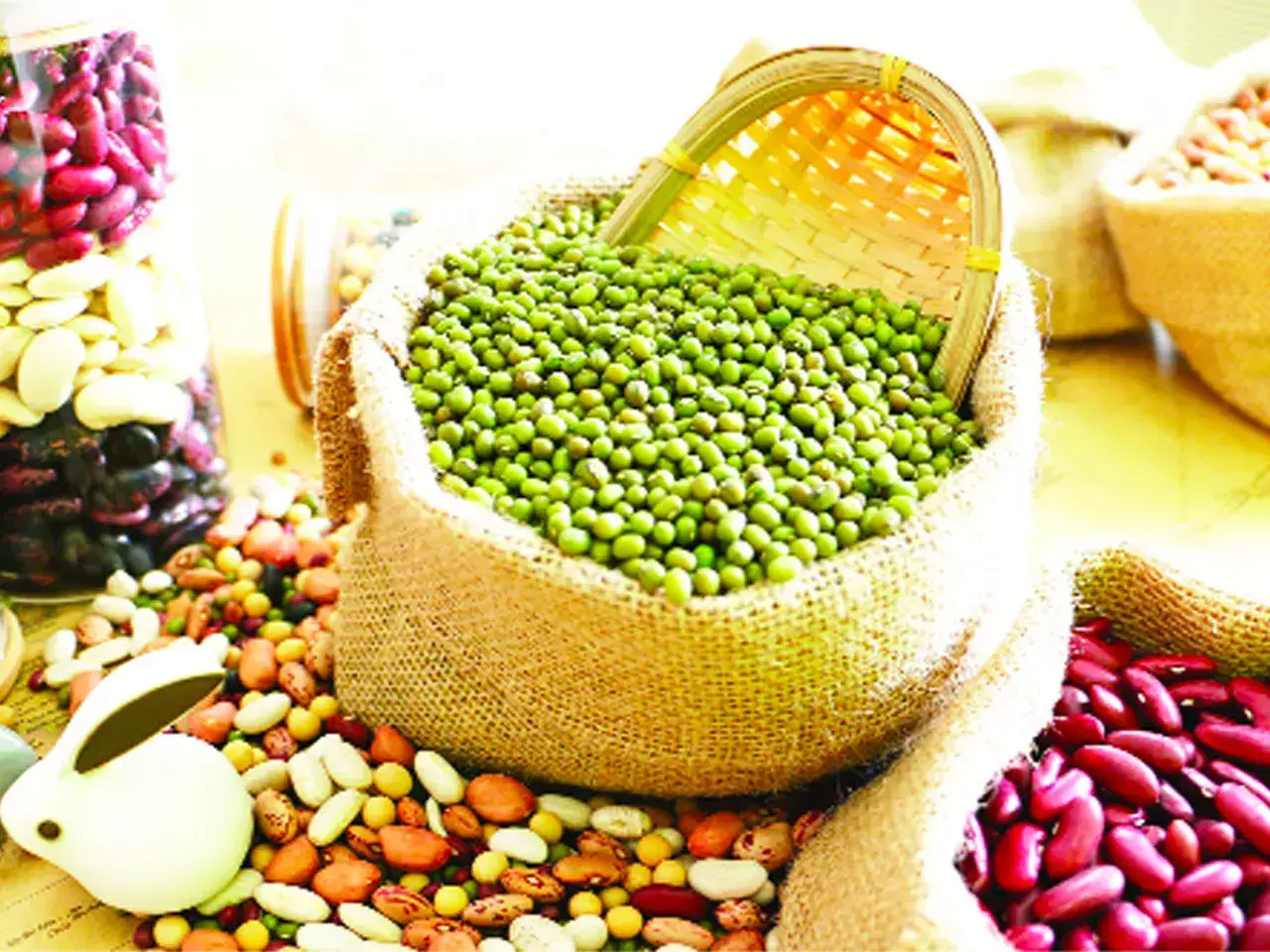estimates are that cultivation of pulses has decreased