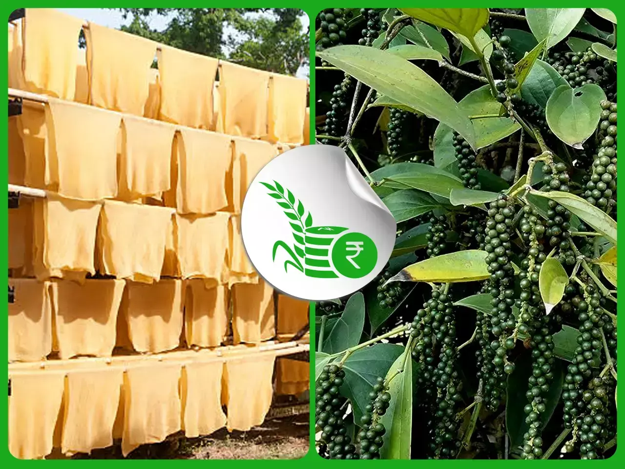 commodities market rate 13 09