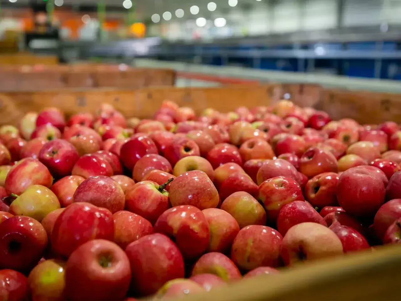 us apple with lower taxes