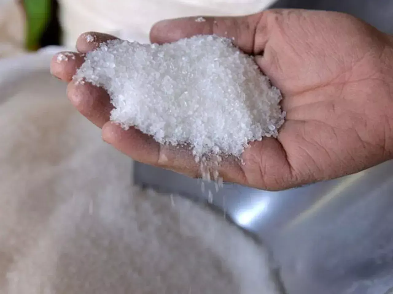 Government that there is no shortage of sugar in the country