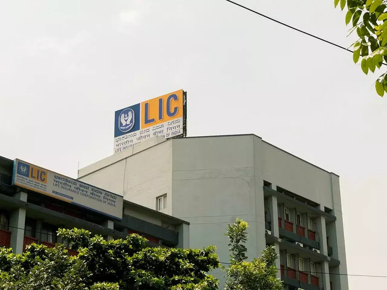 lic agents and staff govt announced welfare measures
