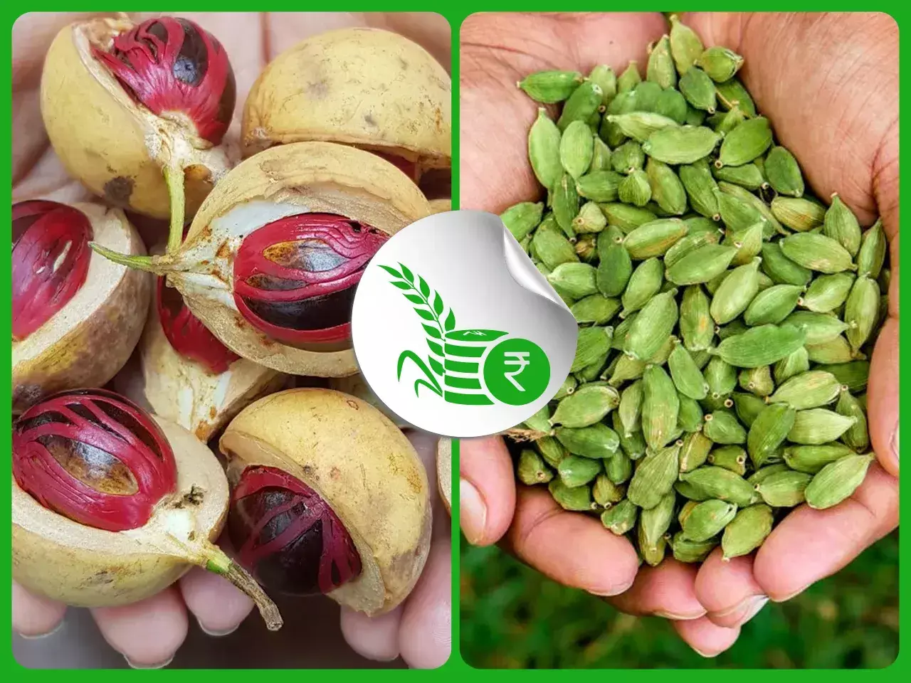 commodities market rate 19 09