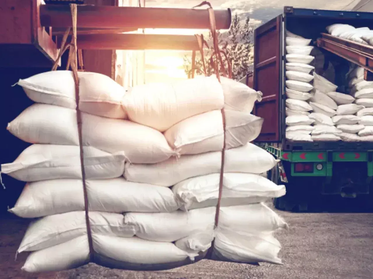 traders say sugar exports will be halved