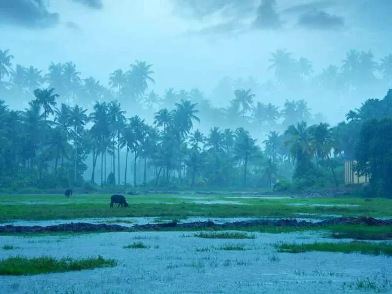 monsoon withdraws from kerala but the rain will continue