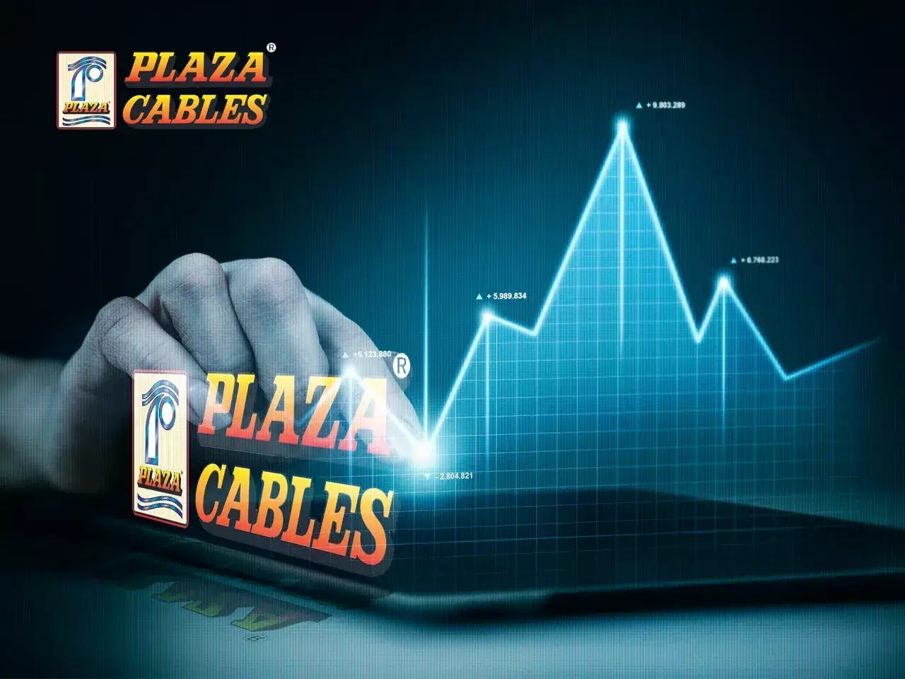 plaza wires shares to be sold plaza wires shares to be sold