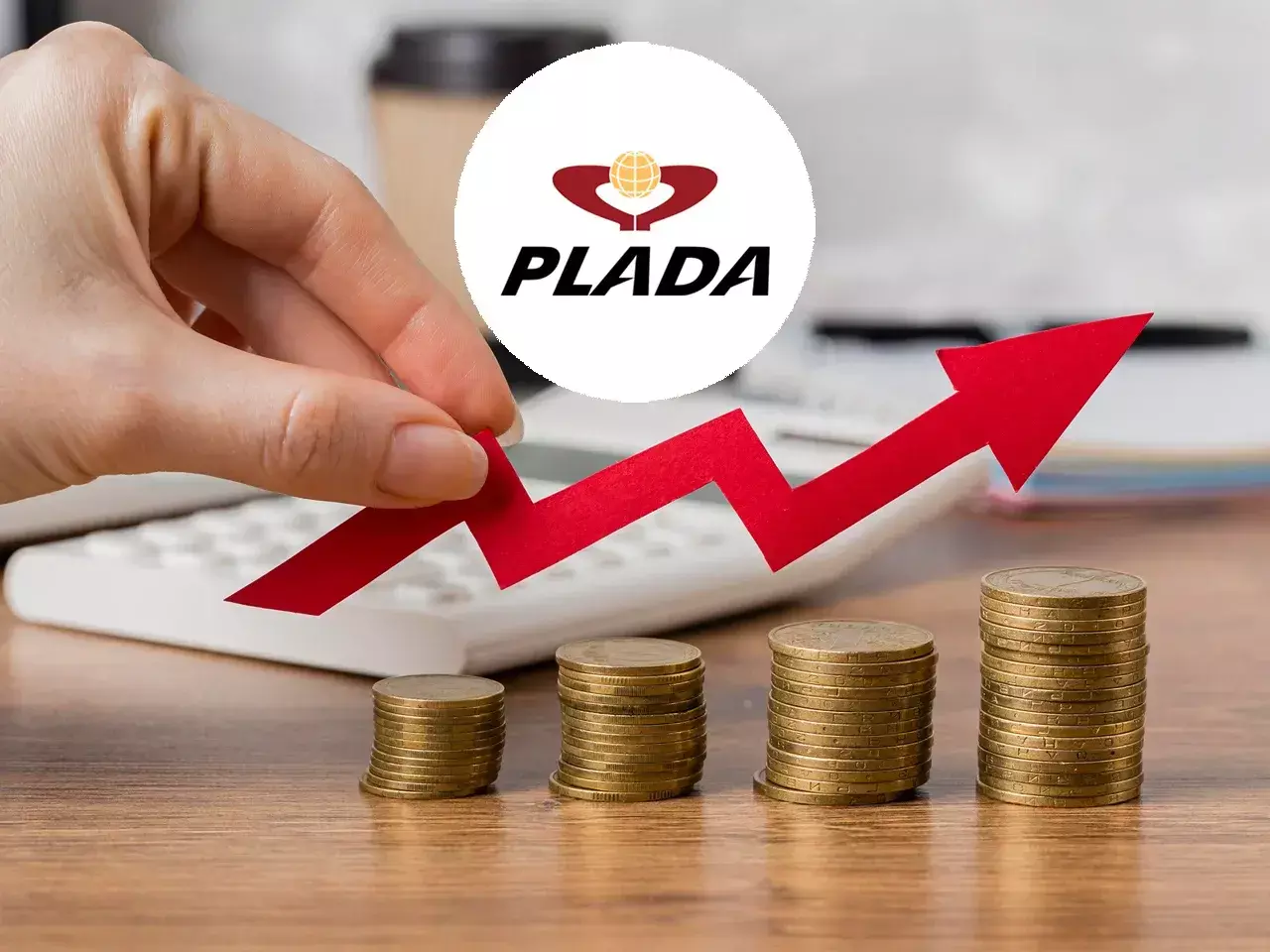 48 per plada infotech share
