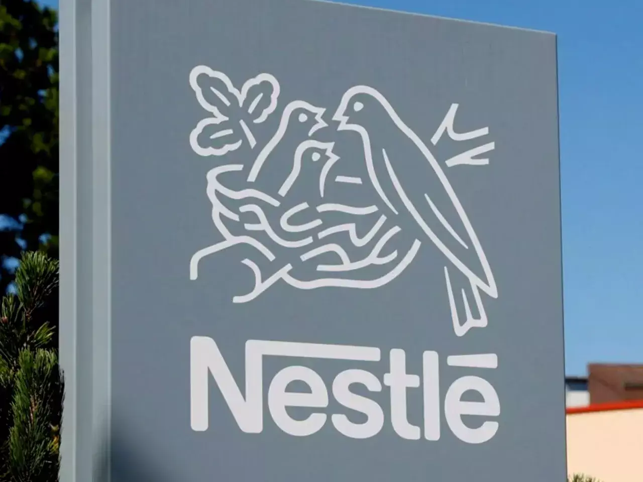 nestlé india with share split