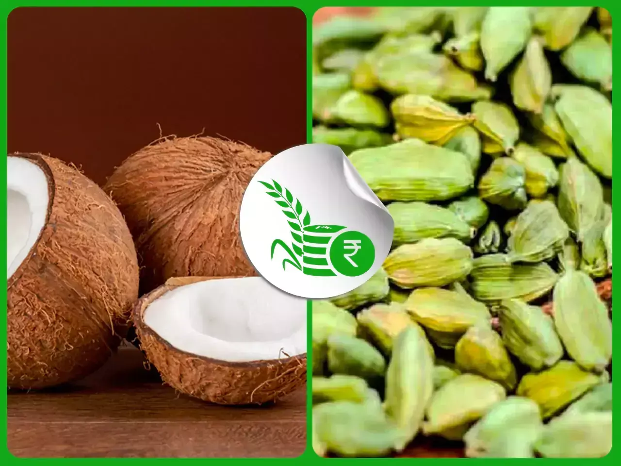 നാളികേരത്തിനെതിരെ സംഘടിത നീക്കം; വില വര്‍ധന പ്രതീക്ഷിച്ച് കുരുമുളക്