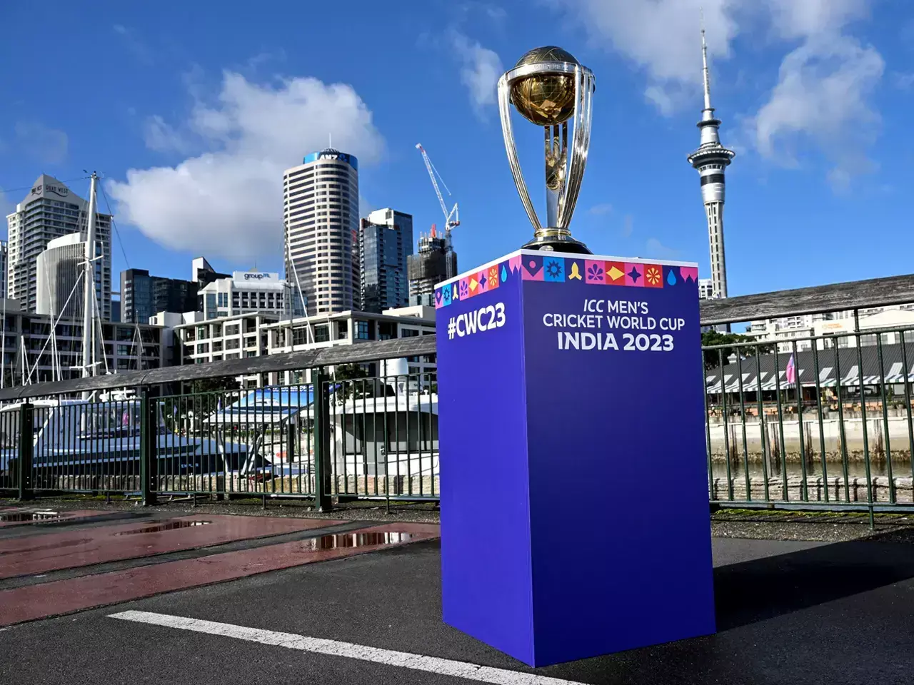 world cup Cricket global brands target indian market through sponsorship