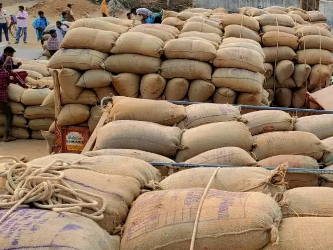 central government has started procurement of kharif paddy