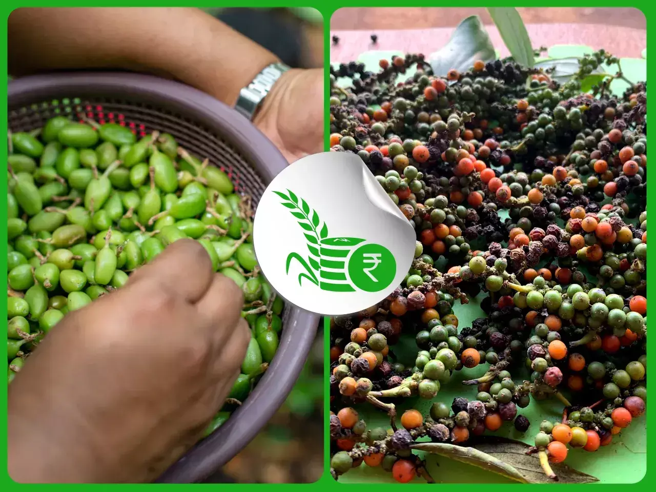 commodities market rate 05 10