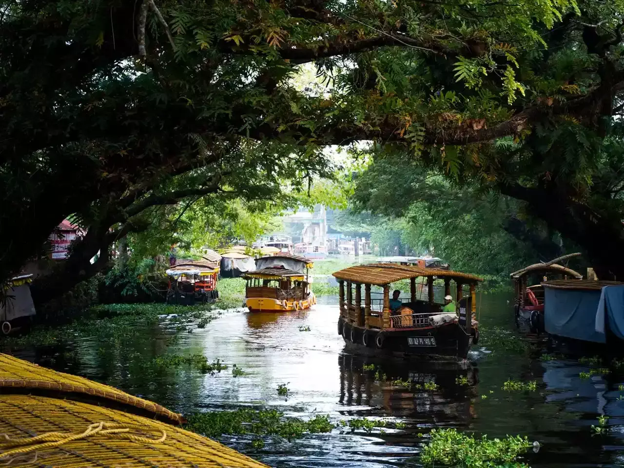 kerala tourism is a hit breaking records