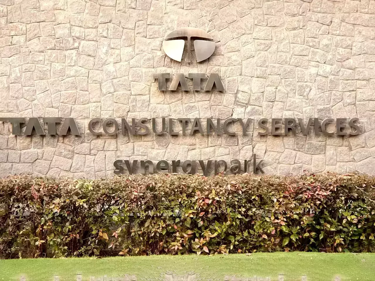 ഓഹരികൾ തിരിച്ചുവാങ്ങാനൊരുങ്ങി ടിസിഎസ്