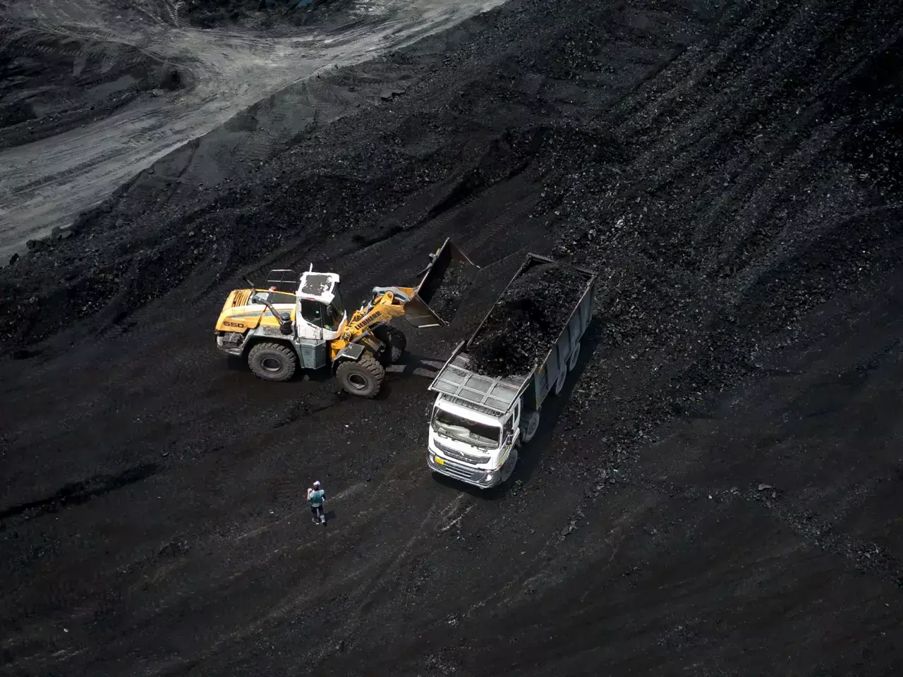 12% decline in indias coal imports