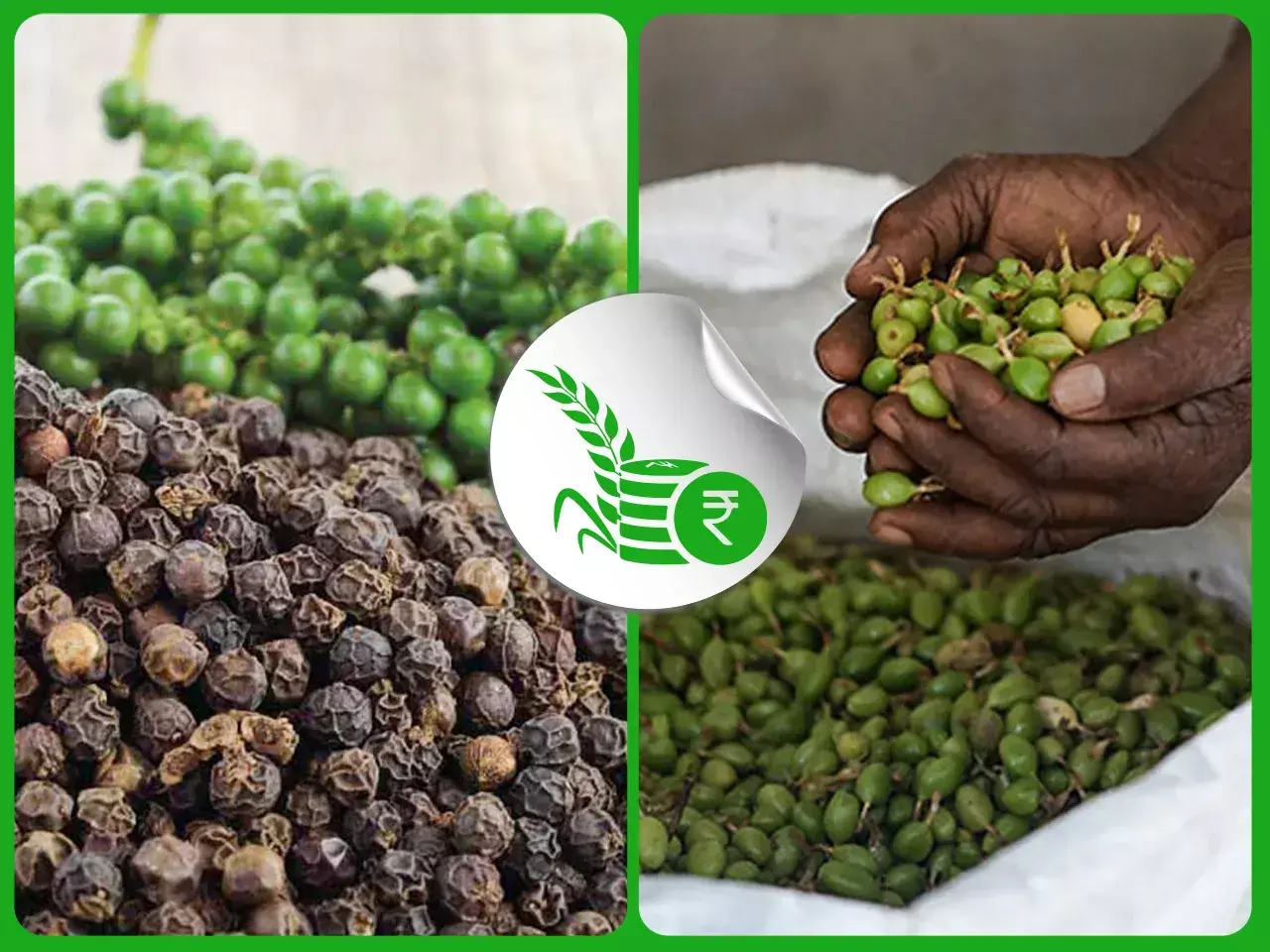 commodities market rate 09 10