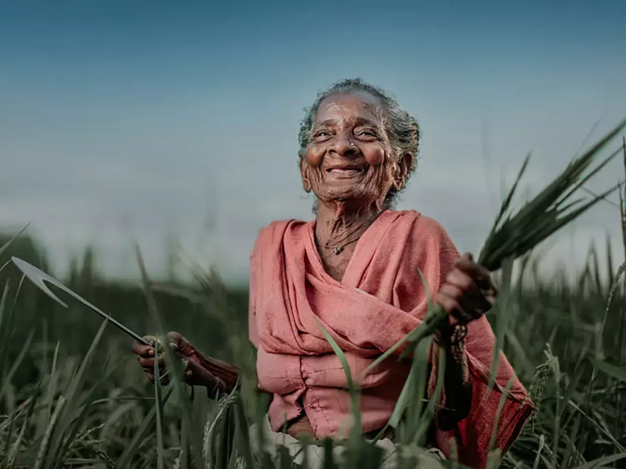 mandahasam scheme aid amount doubled mandahasam scheme aid amount doubled