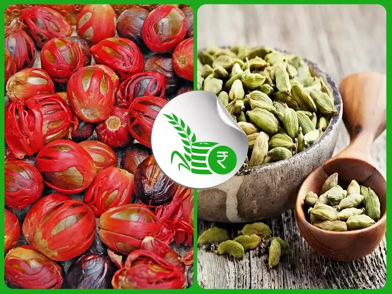 commodities market rate 11 10