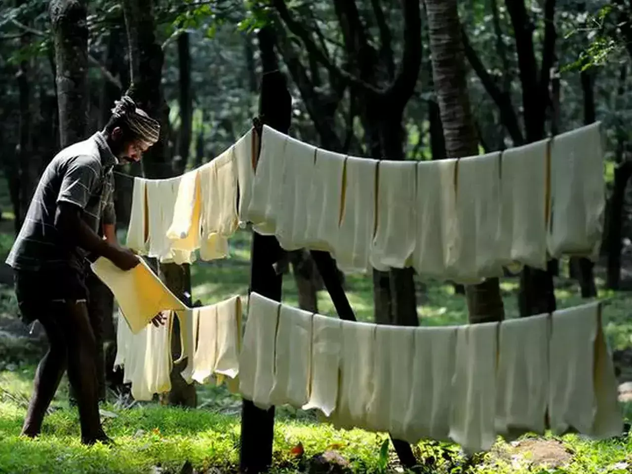 Kerala govt sanctions Rs 42.57 cr subsidy to rubber farmers Kerala govt sanctions Rs 42.57 cr subsidy to rubber farmers