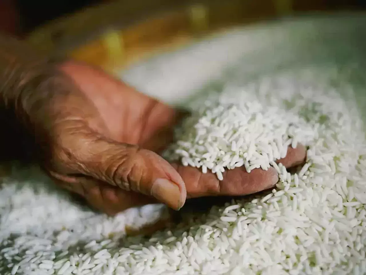Non-Basmati to seven countries White rice will be exported