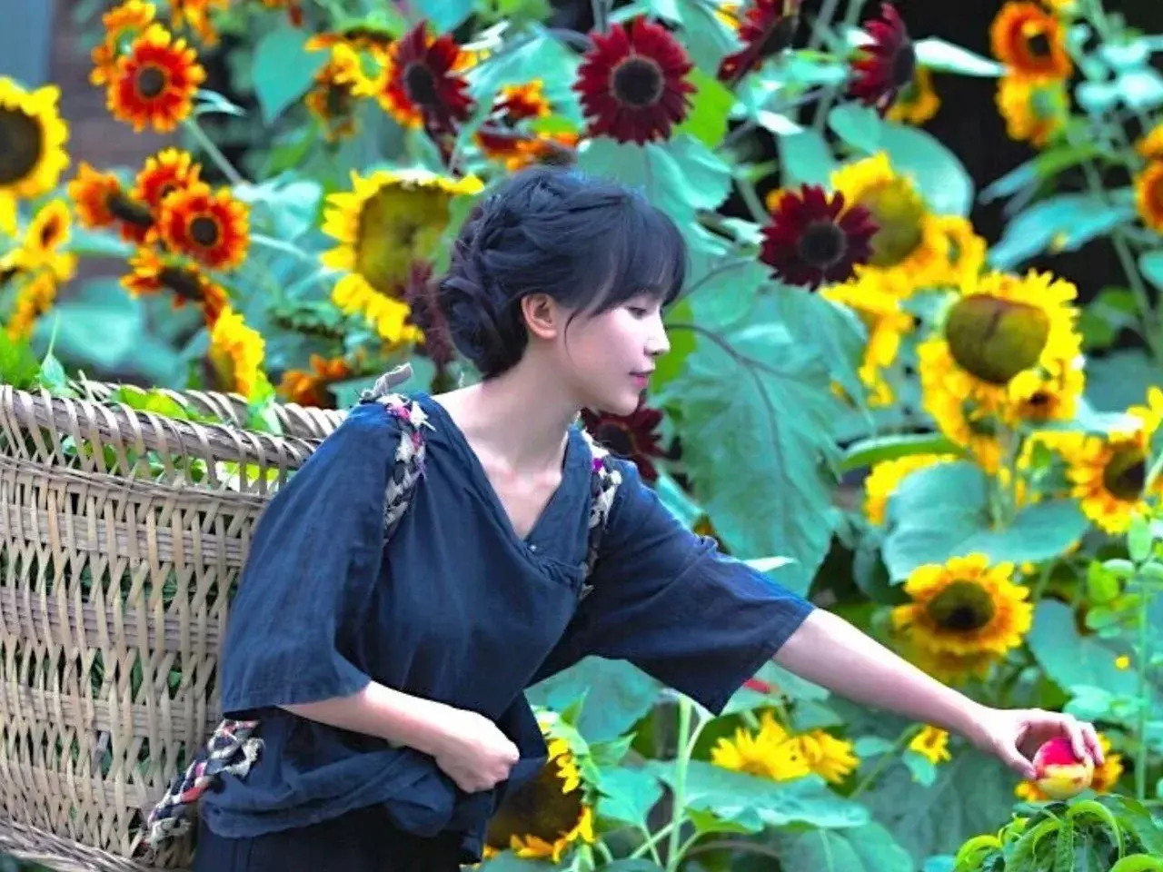 li ziqi is a youtube sensation