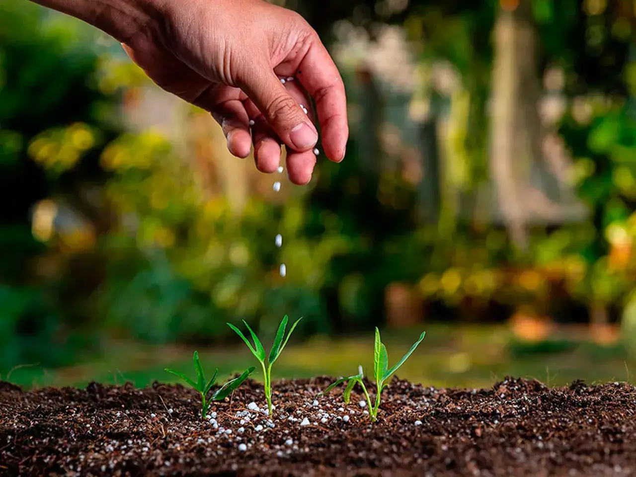 22303 crore subsidy for p&k fertilizers