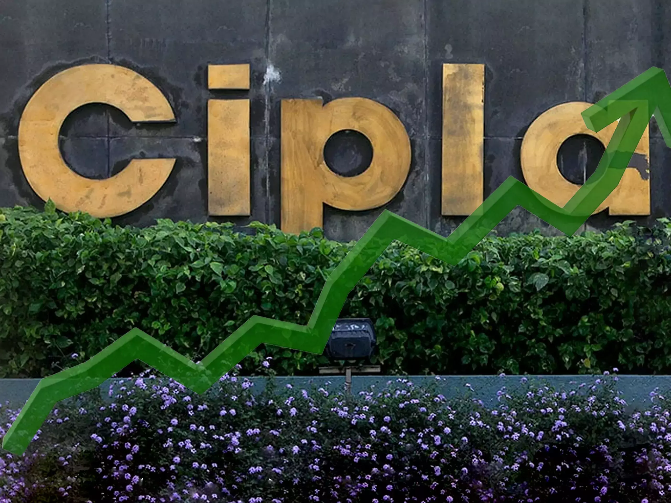 സിപ്ലയുടെ അറ്റാദായത്തിൽ 43.4% വർധന