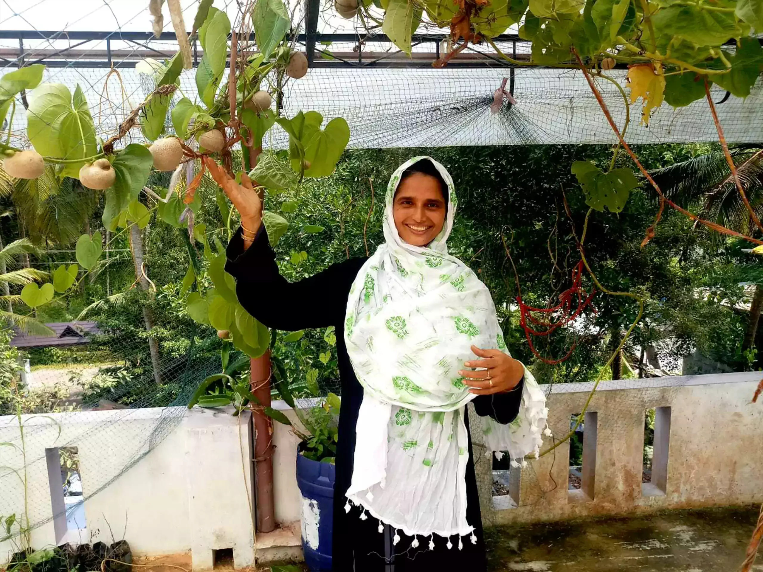ഔഷധ ചെടി ; ഈ വീട്ടമ്മ മാസം സമ്പാദിക്കുന്നത് ലക്ഷങ്ങള്‍