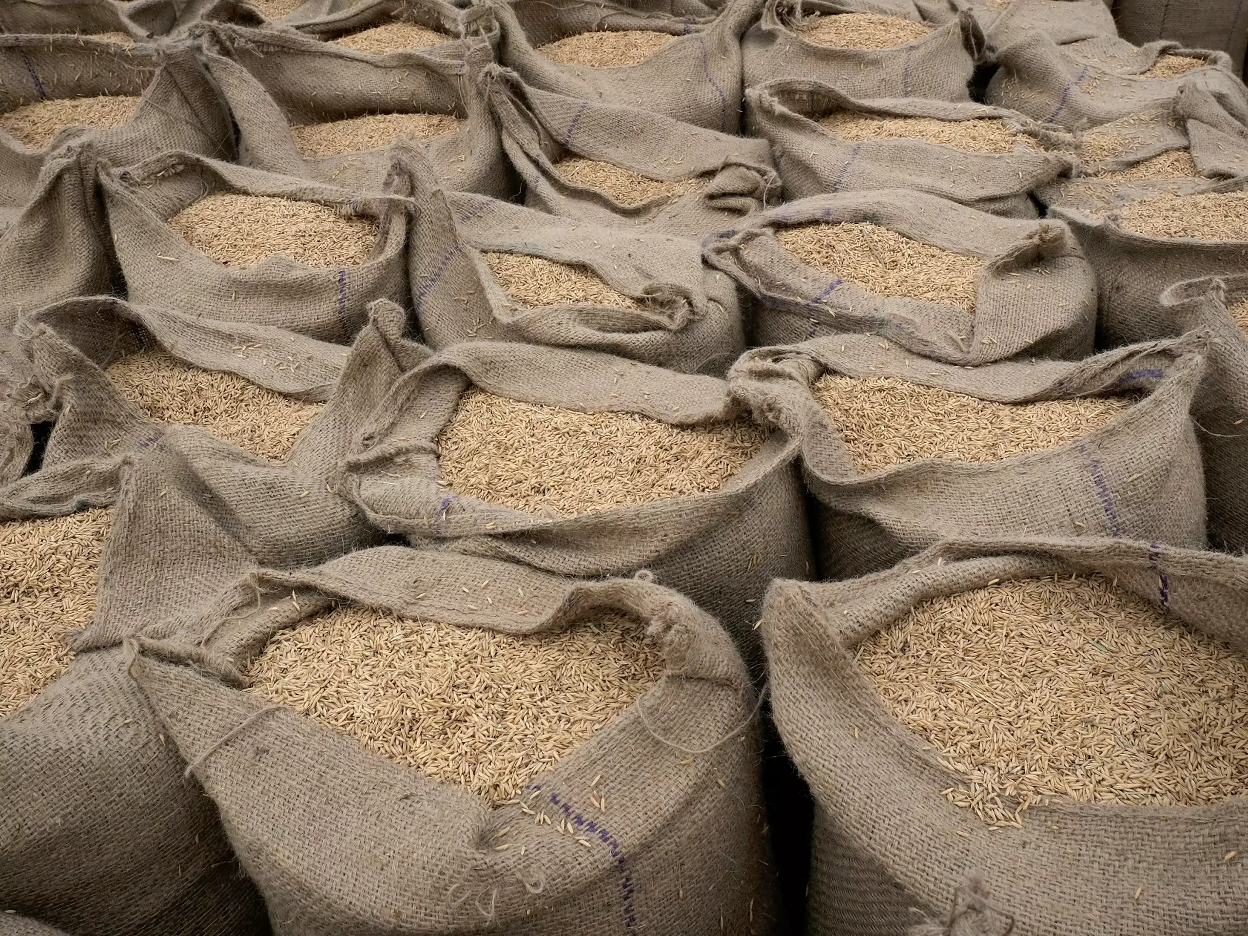 അരിവില  കുറയാനിടയില്ലെന്ന്   ലോകബാങ്ക്