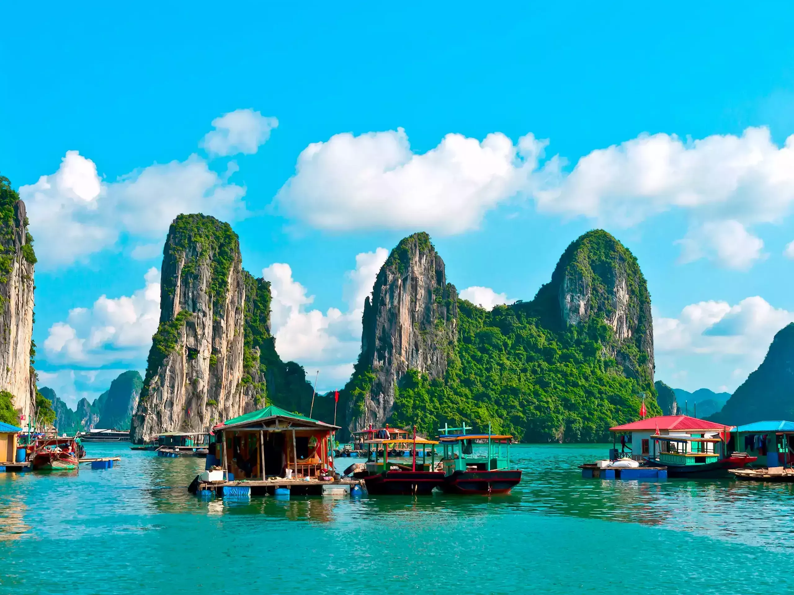 north east festival and tourism