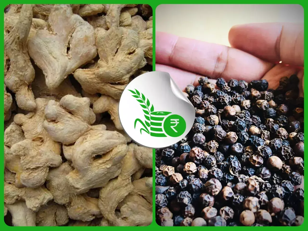 commodities market rate 01 11