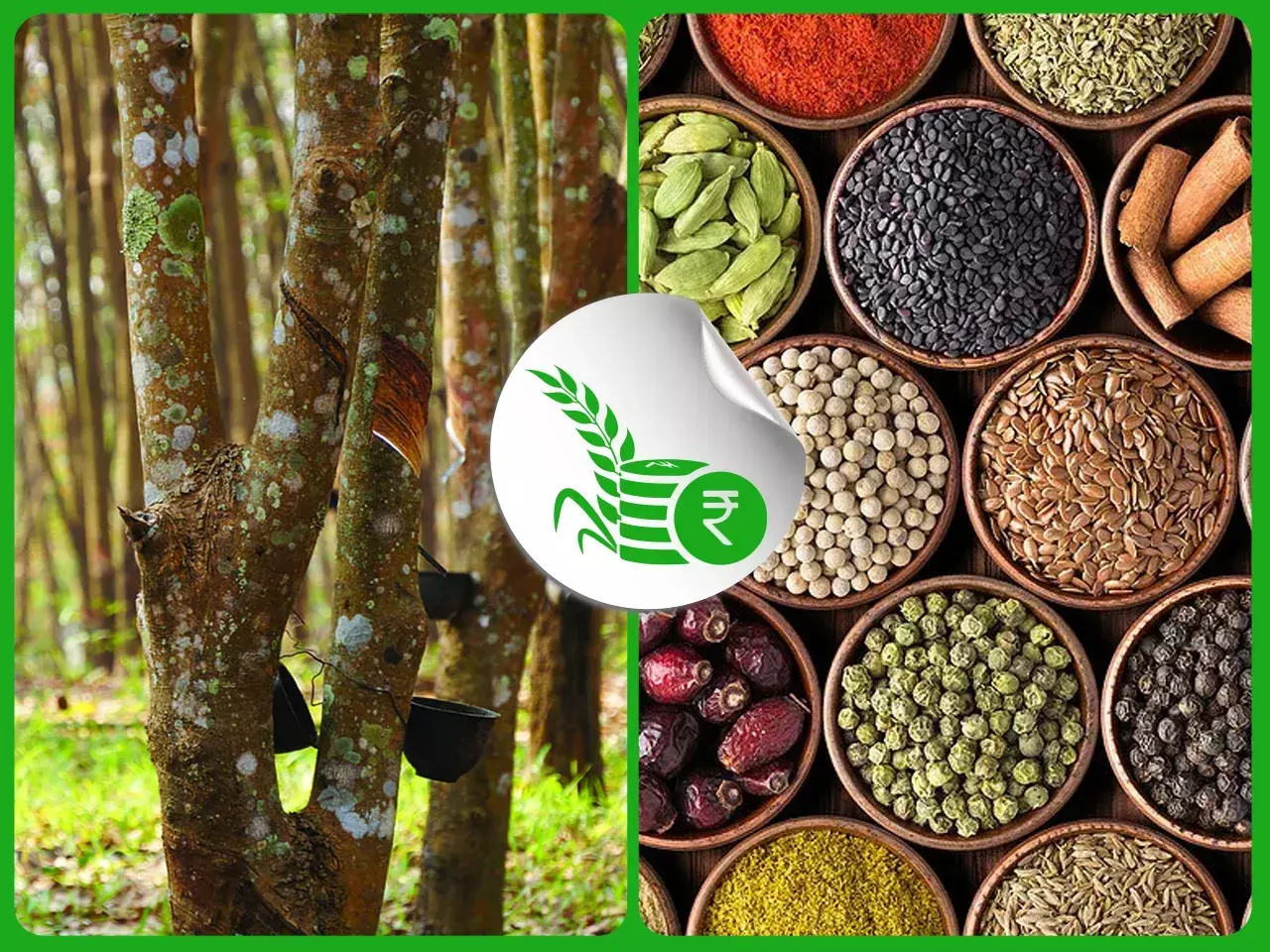 commodities market rate 03 11 23