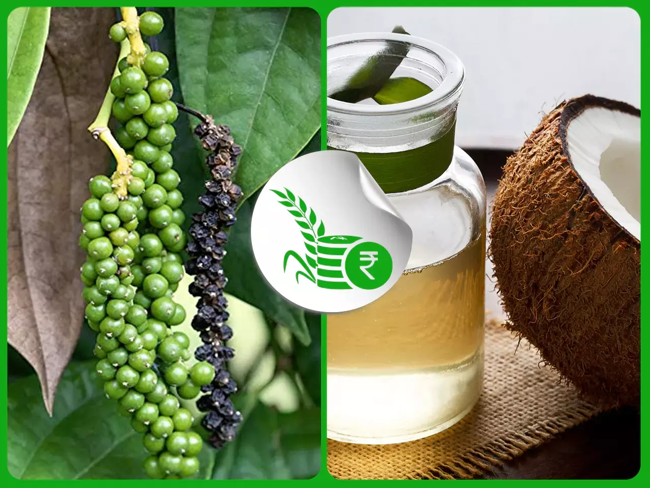 കുരുമുളകിനും നാളികേര ഉല്‍പന്നങ്ങള്‍ക്കും വില തകര്‍ച്ച