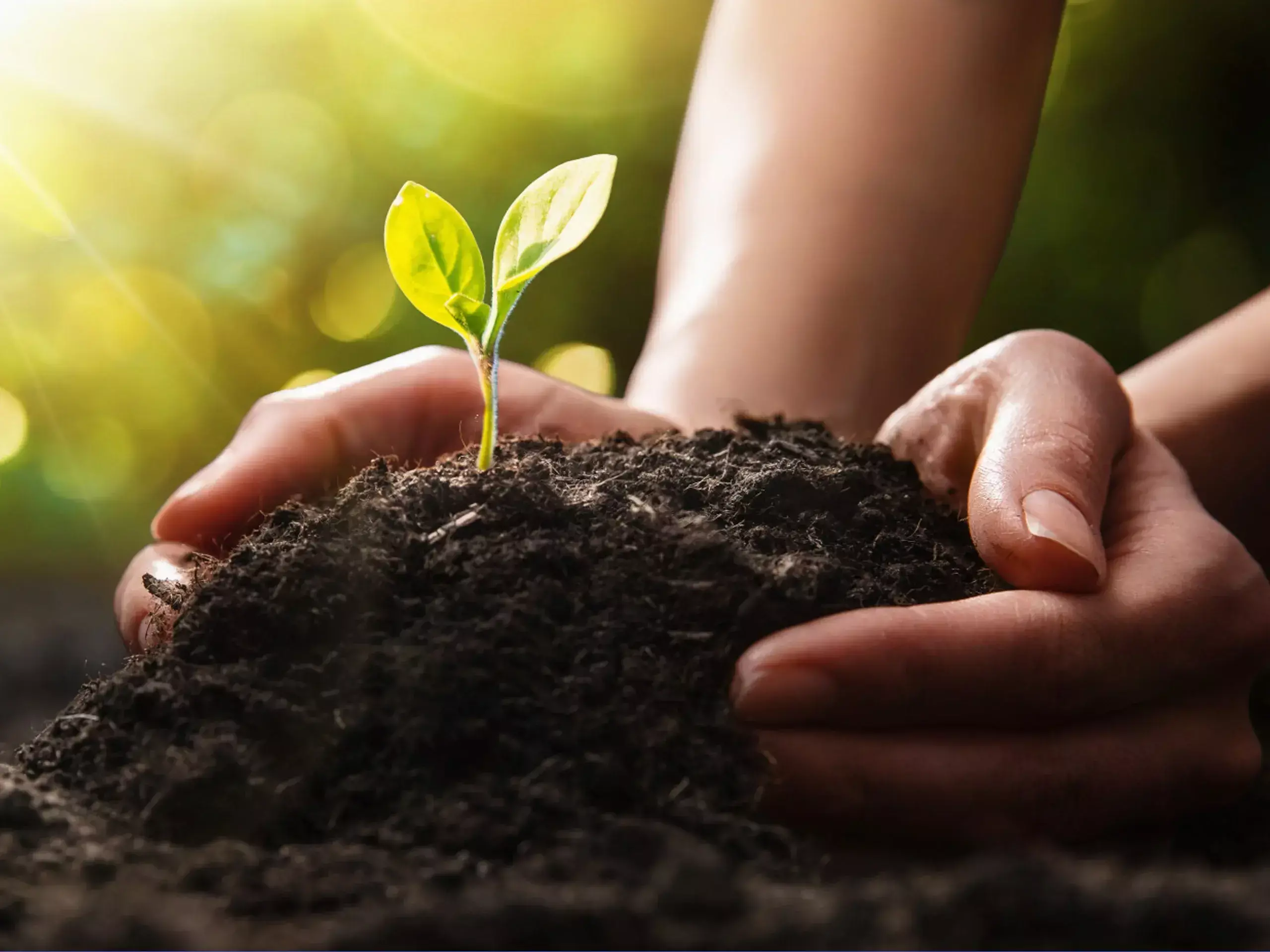 alangad with the second farmer producing company