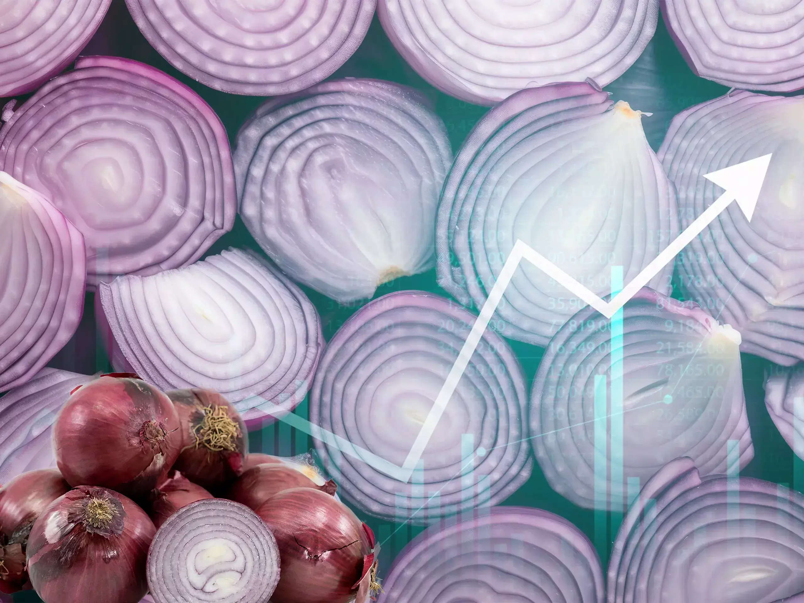 onion price, food prices will rise in november