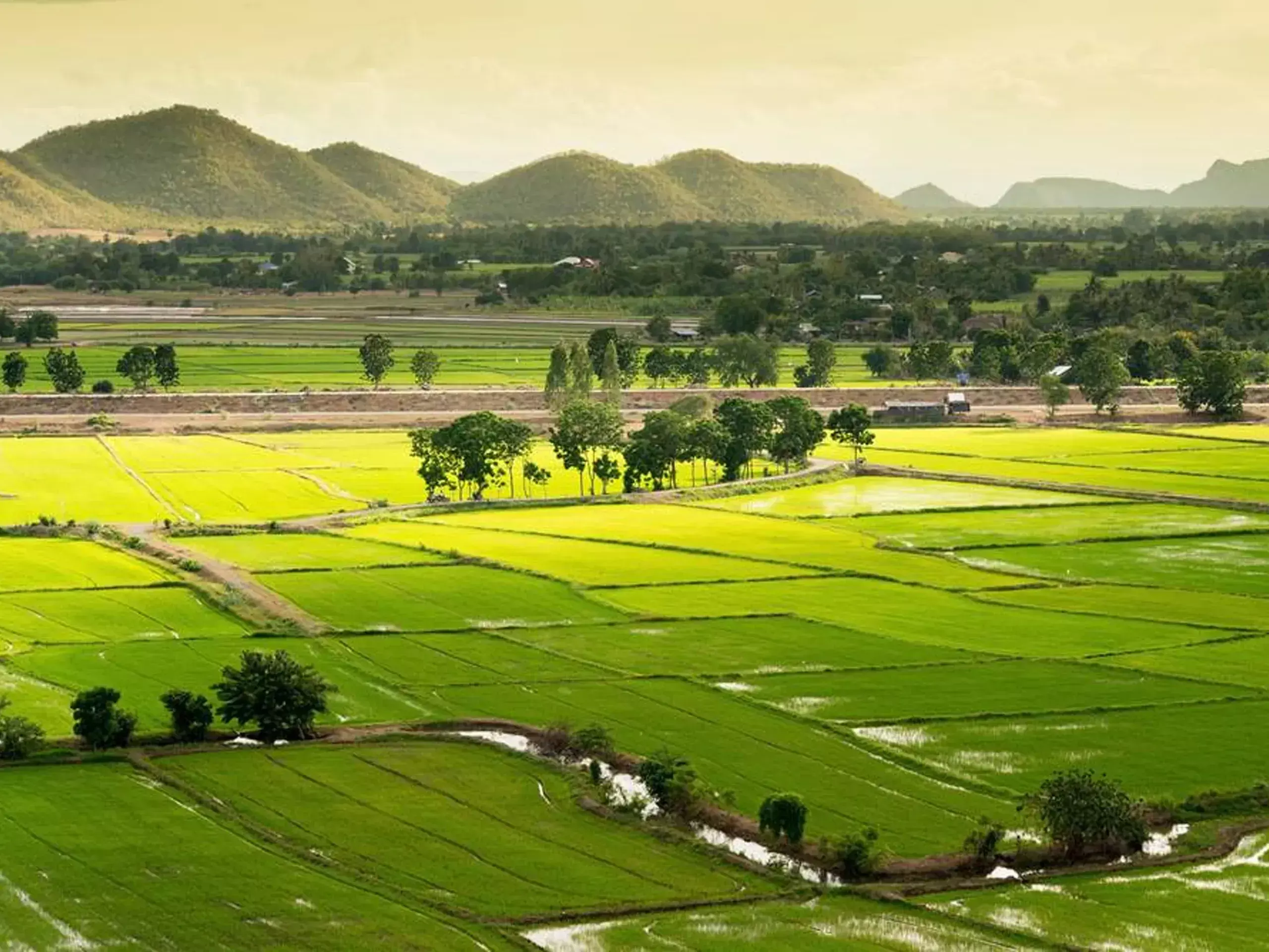 1,200 crore land classification fee as a relief to kerala