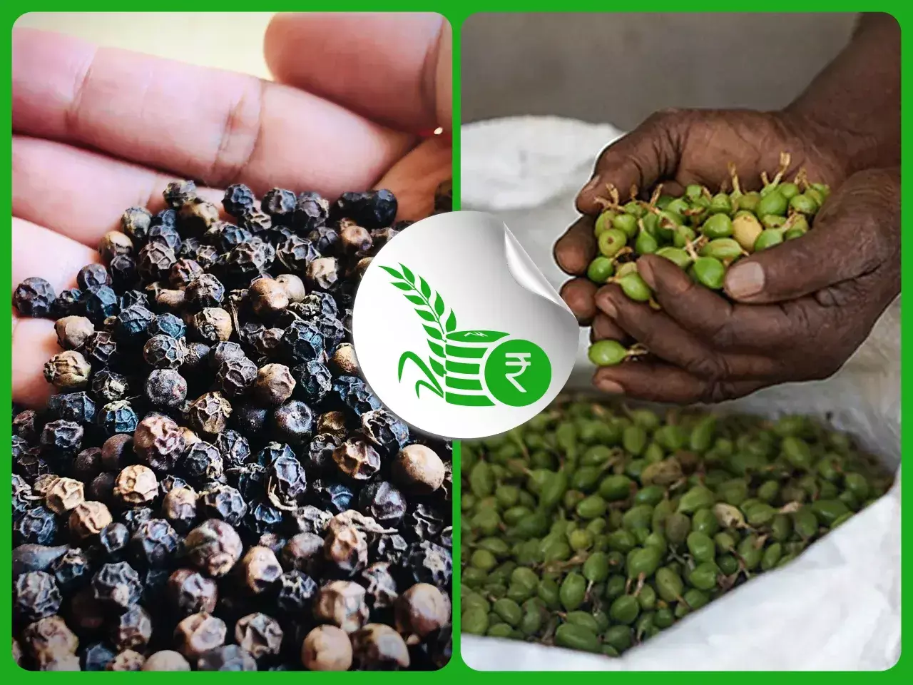 commodities market rate 08 11