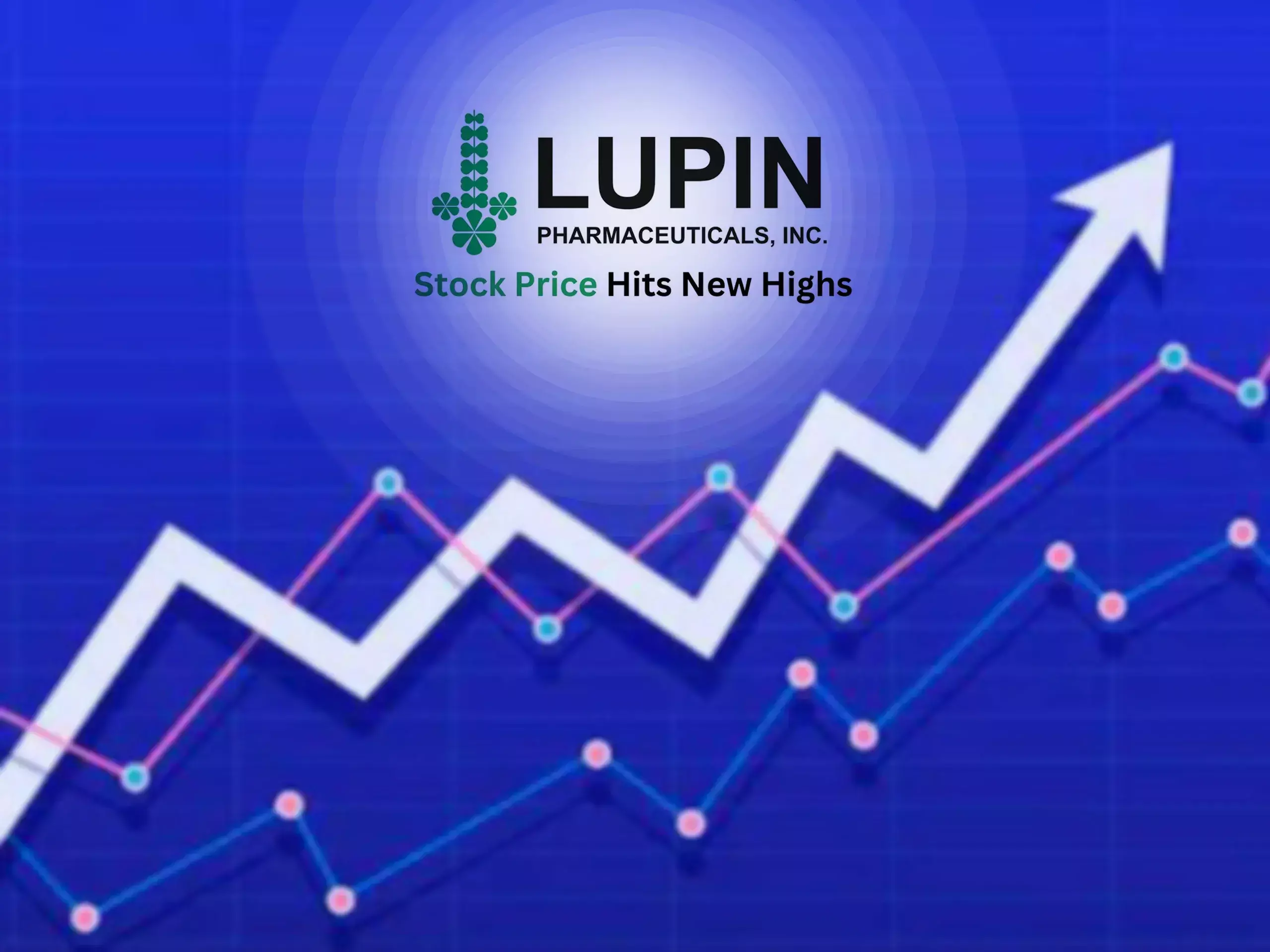 lupin at 52-week high