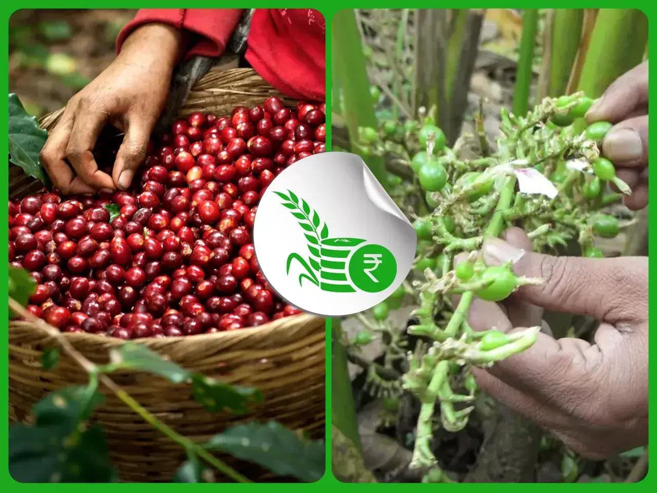 commodities market rate 09 11