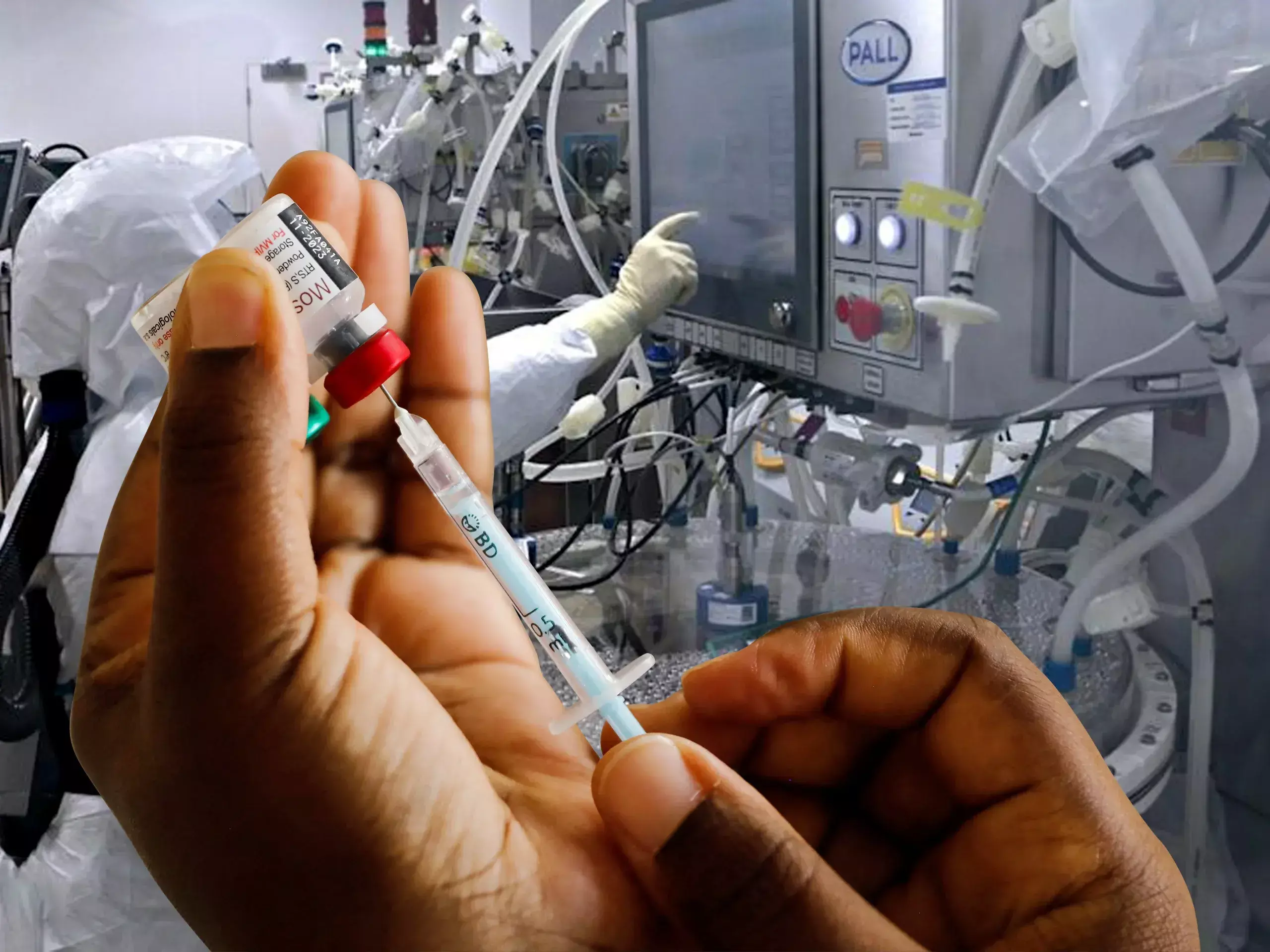 worlds first chikungunya vaccine approved