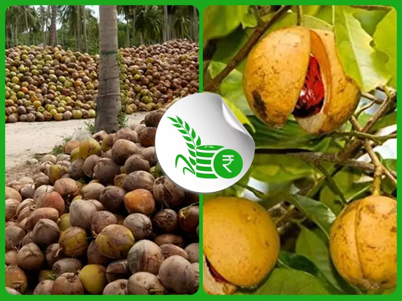 commodities market rate 10 11