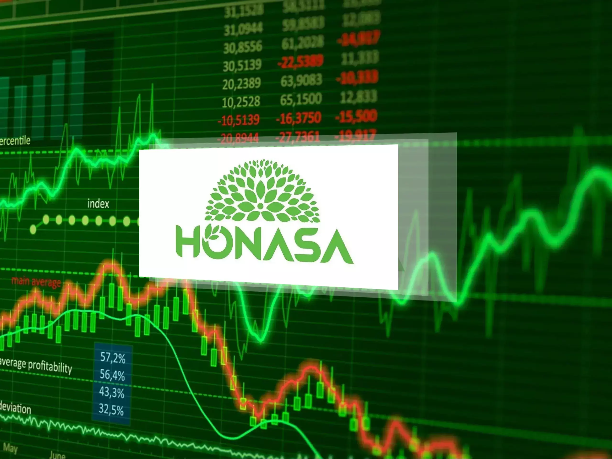 honasa fell 15%, came back
