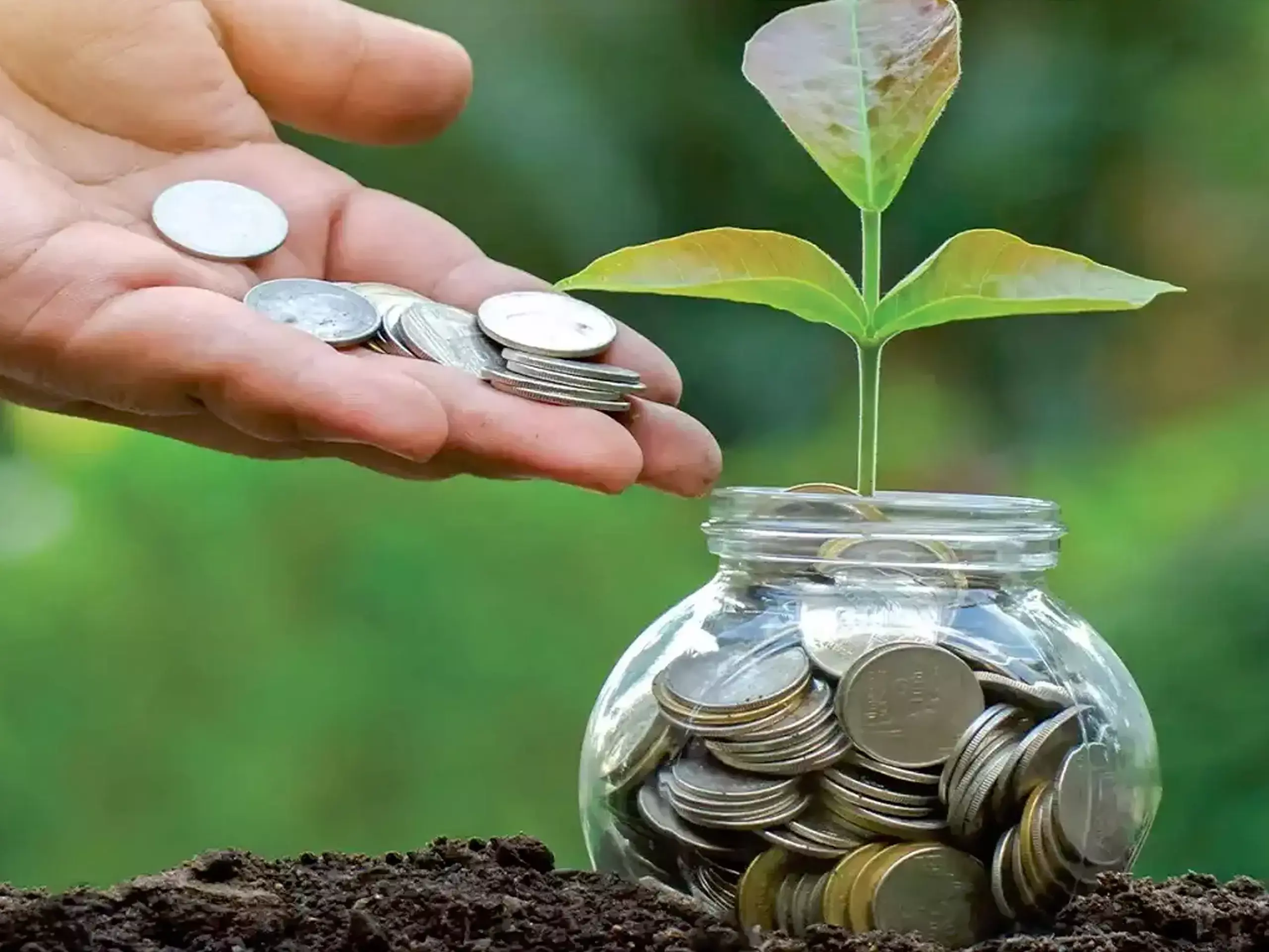 The Small Savings Scheme has been simplified to attract more investors
