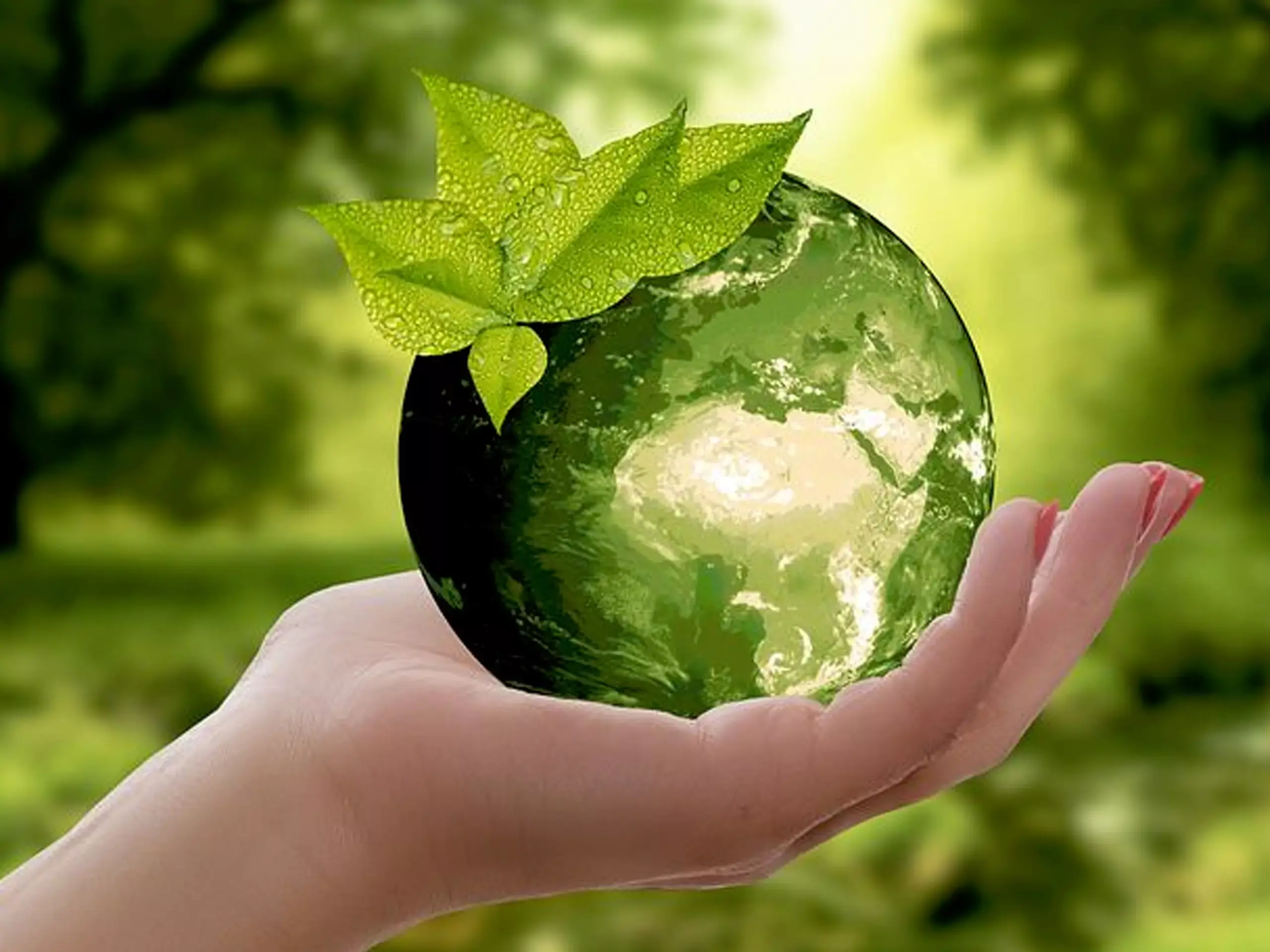 Children’s Haritha Sabhas across Kerala on Nov 14