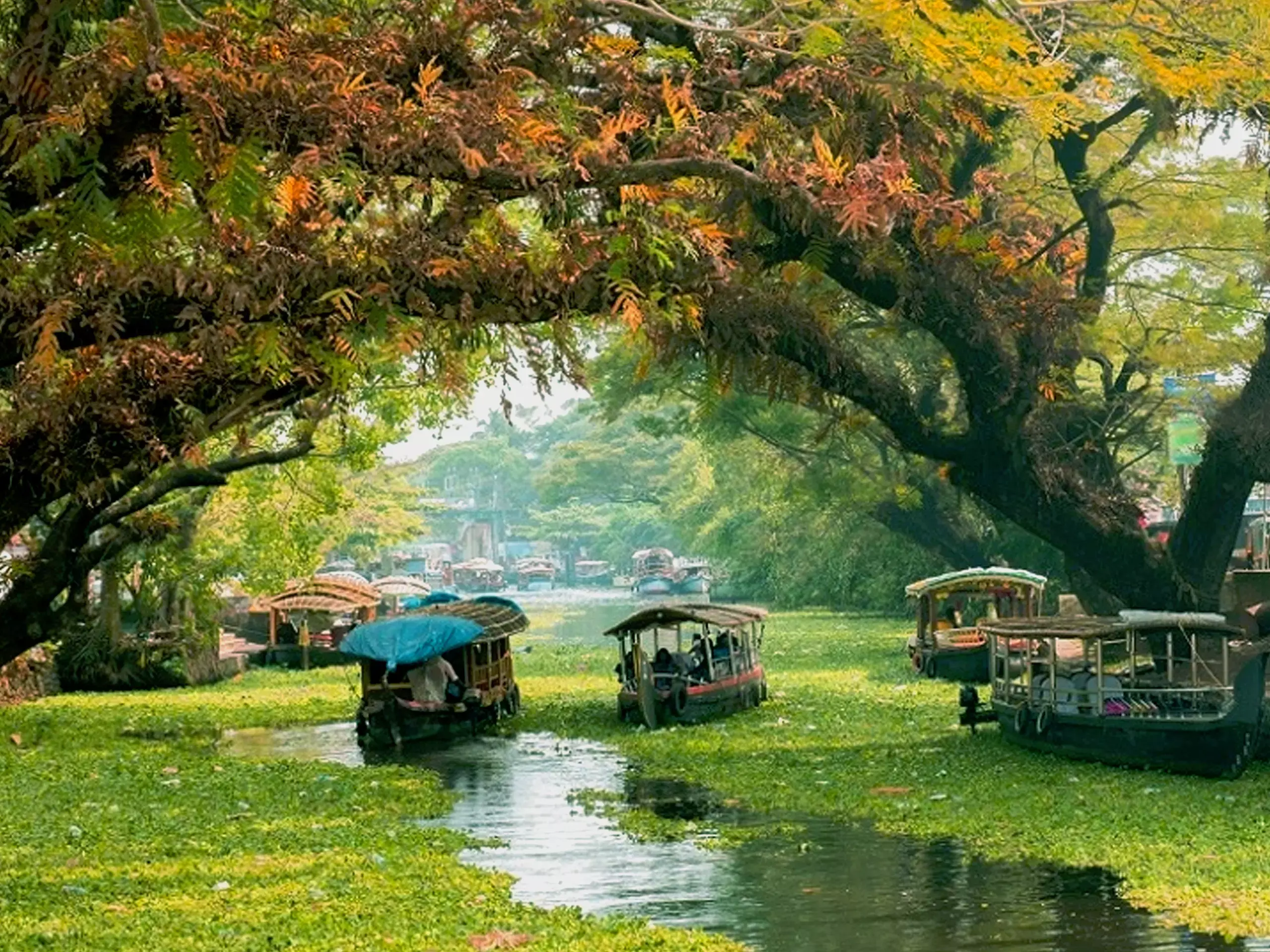 159.69 lakh domestic tourists visited Kerala in 9 months