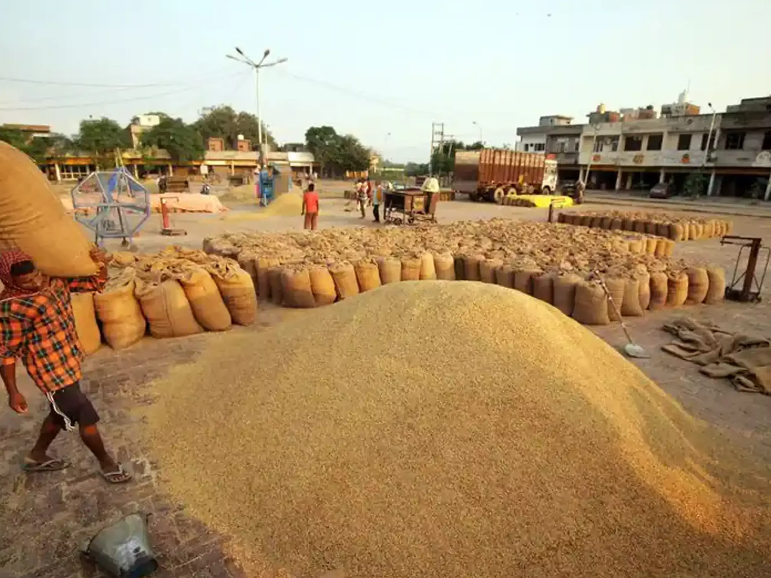 Supplyco paddy procurement should not affect farmers credit score