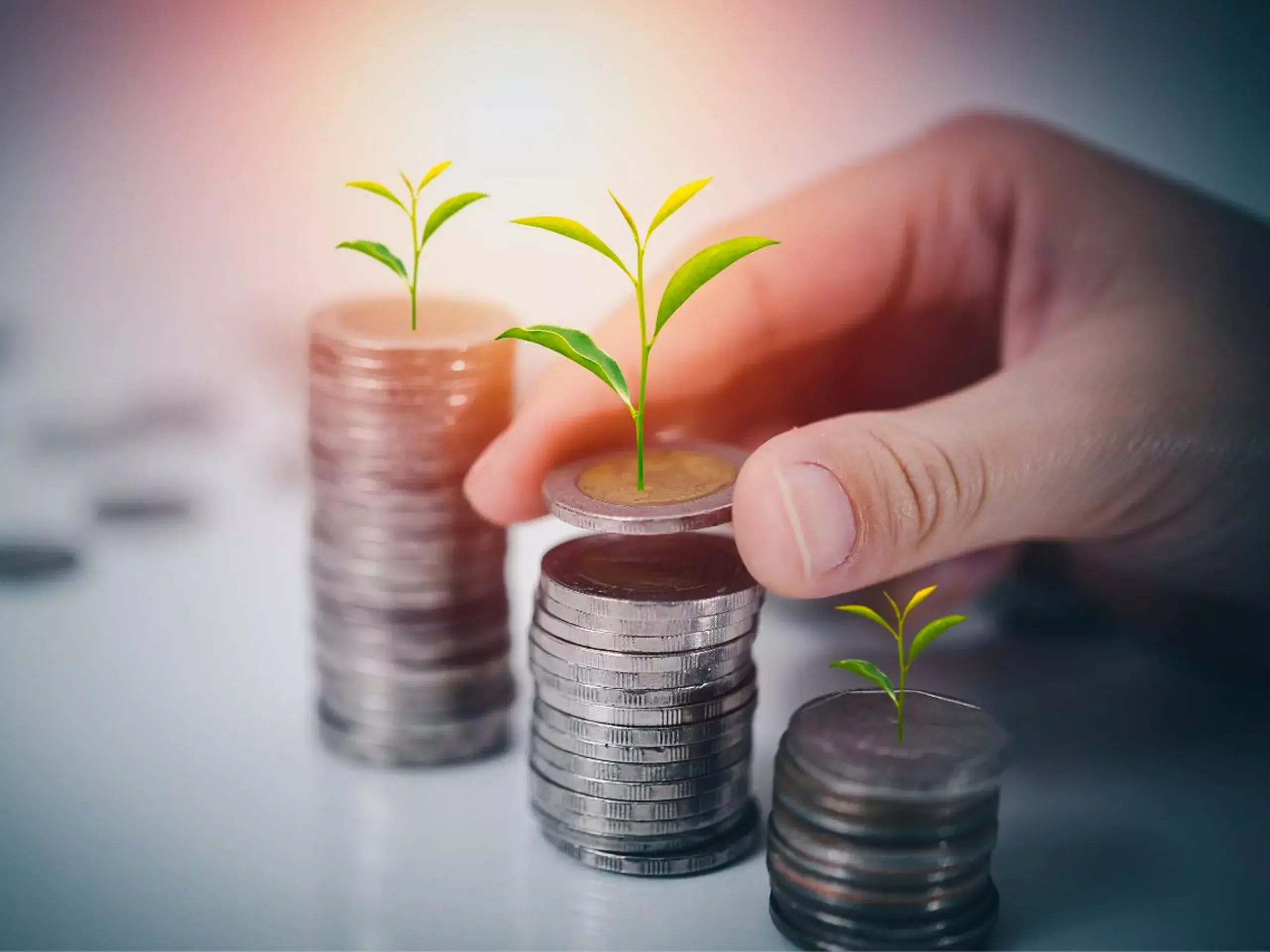 withdrawals in mutual funds at 6-month low withdrawals in mutual funds at 6-month low