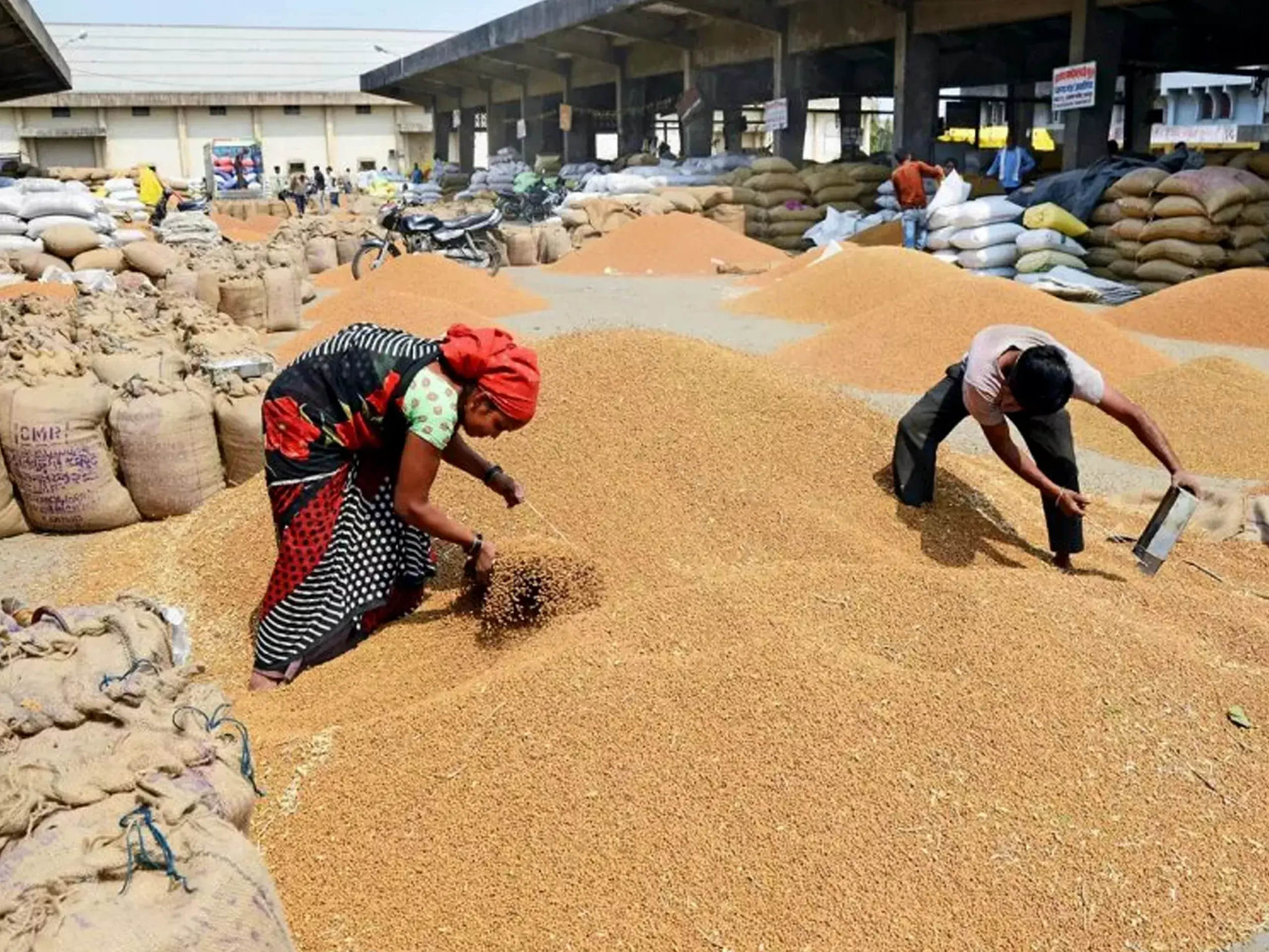 government sold rice and wheat from buffer stock