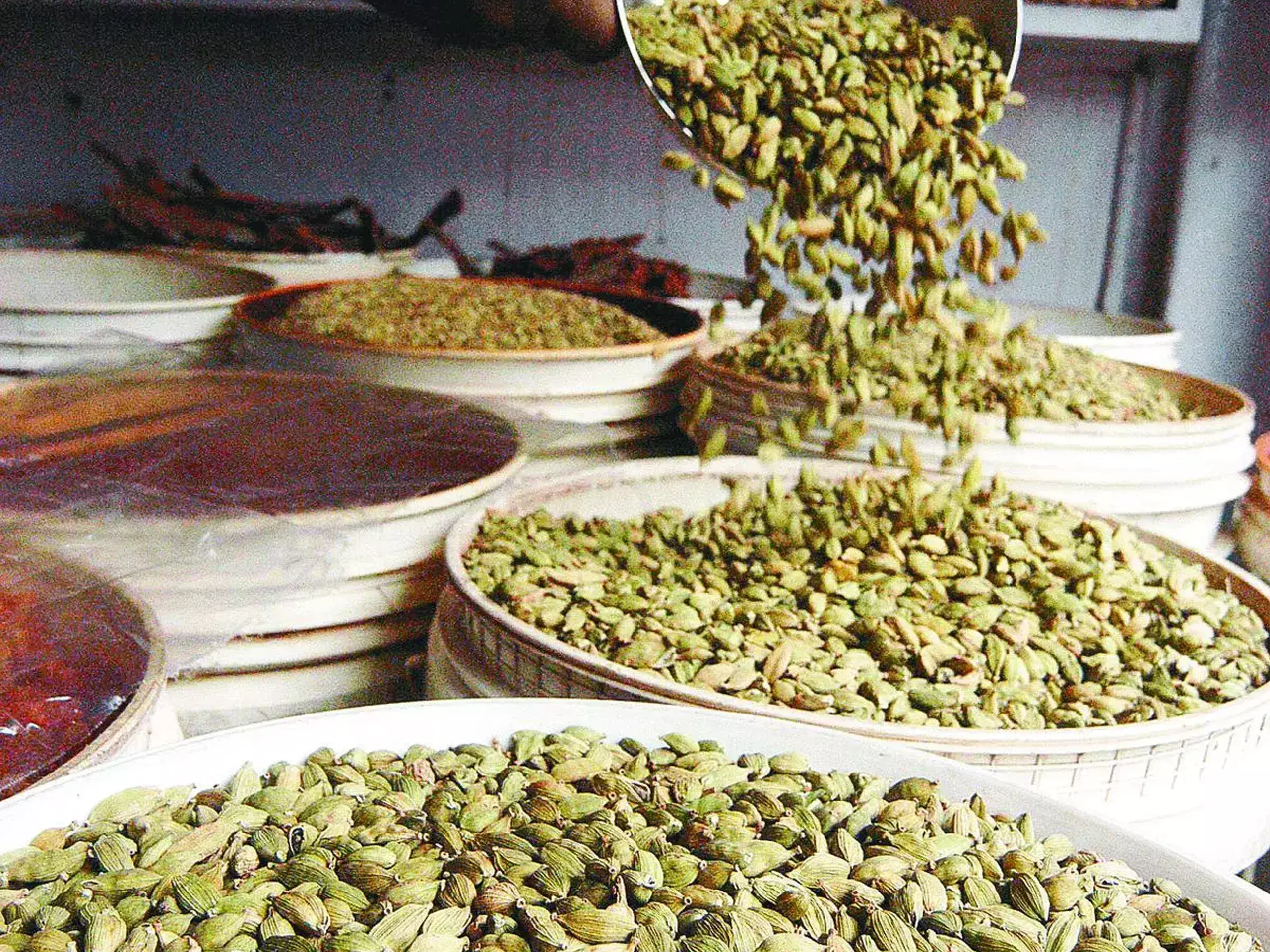 board against mixing guatemala variety with cardamom