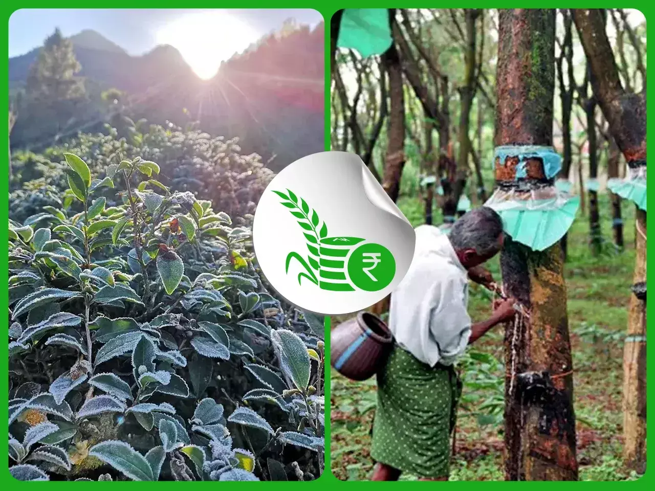 commodities market rate 21 11